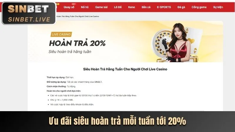 Nhatvip Chính Thức: Các Chương Trình Khuyến Mãi Hấp Dẫn Nhất 2026